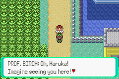screenshots/Game Boy Advance/Pokemon - Emerald - Ruby - Sapphire/Pokemon Emerald (Eng) 027.png